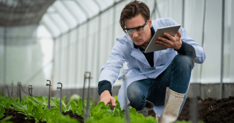 Successive-Fieldseeker-Casestudy